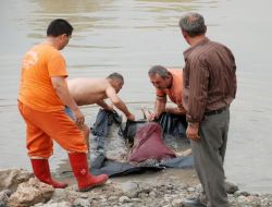 2 Gündür Kayıp Olan Çoban Asi Nehri'nde Ölü Bulundu