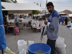 Büyük Marketler Pazarcı Esnafını Vurdu