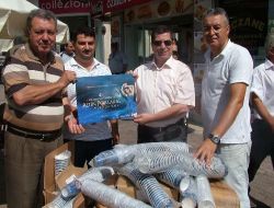 Altın Portakal Afişi Tabak Ve Bardaklarda