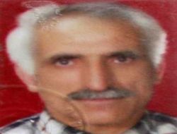 Ceviz Toplarken Düşen Şahıs Hayatını Kaybetti