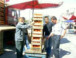 Salçalık Fiyatları Ateş Pahası