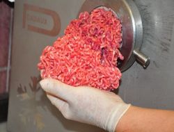 Özel Sektörün İthal Ettiği 150 Bin Baş Kurbanlık Koyun Yola Çıktı