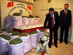 Diyarbakır Halkı Destek Verdi, 5 Ton Esrar Ele Geçirildi!