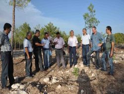 Silvikültür Daire Başkanı Kılıç: Son İki Yılda Çok Ciddi Orman Yangınları İle Karşılaşmadık