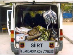 Siirt'te Hırsızlık Şebekesi Çökertildi