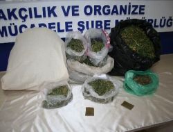 İzmir'de Esrar Operasyonu