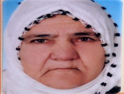 Yaşlı Kadın Korkuluk Olmadığı İçin Düşüp Öldü