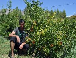 Gerger Narı Pazar Sorunu Yaşıyor