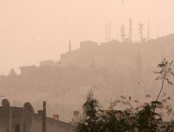 THY Uçağı, Toz Bulutu Yüzünden Mardin'e İnemedi!