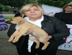 "hayvanlara İşkence Yapmak İnsanlık Suçudur"