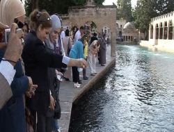 Rakkalı Bayanlar Şanlıurfa'ya Hayran Kaldı