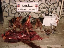 Denizli'de At Ve Eşek Keserek Satan Organize Suç Örgütü Çökertildi