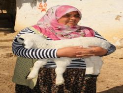 Başbakanlık'a Dilekçe Yazdı; Kendi Çiftliğini Kurdu!