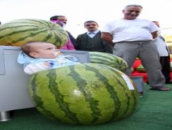 En Büyük Diyarbakır Karpuzu Üreticileri Ödüllendirildi