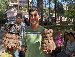 Köylü Kadınlar Çam Kozalağından Sepet Yaptı