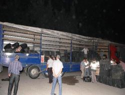 Osmaniye'de 160 Bin Paket Kaçak Sigara Ele Geçirildi!