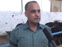 Hataylı Besiciler 2011 Yılından Umutlu
