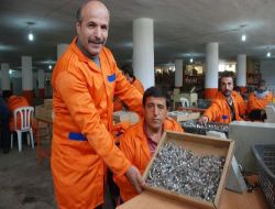 Türkiye'deki Tek Oto Ampul Üretim Atölyesi Muş'ta Kuruldu