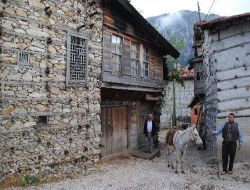 Ormana Evlerinin Unesco Kültür Mirasına Alınması İçin Çalışma Başlatıldı