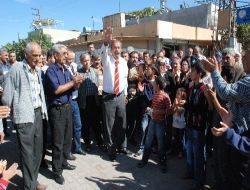 İthal Sığırların Kokusu Mahalleliyi Ayağa Kaldırdı