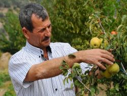 Artıklar Gübreye Dönüştürülecek, Üreticinin Maliyetleri Yarı Yarıya Azalacak