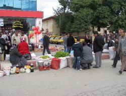 19. Kaman Ceviz Kültür Ve Sanat Festivali Sona Erdi