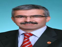 Çin Sanayi Bölgesi'nin Adana'da Kurulması İsteniyor