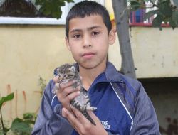 Yavru Kedi Öksüz'ün Yardımına Öksüz Çocuk Yetişti