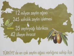 Akhisar'dazeytin Hasadı Şenlikleri Başlıyor