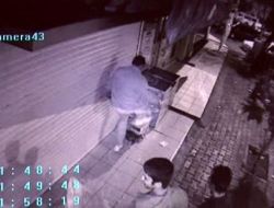 Kedi Katili, Para Cezasıyla Serbest Bırakıldı
