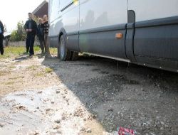 Bolu'da 2 Ton Bozuk Peynir Ele Geçirildi!