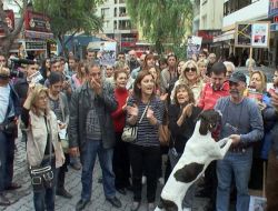 Kedinin Kafasının Ezilerek Öldürülmesine Tepki Gösteren Hayvanseverler Ayaklandı
