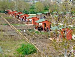 Emeklilere Gaziantep'ten Örnek Proje: Hobi Bahçesi