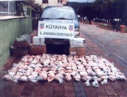 Kütahya'da Kaçak Tavşan Eti Operasyonu