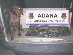 Adana'da 5 Kilo 190 Gram Esrar Ele Geçirildi!