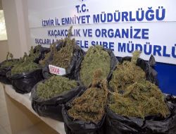 İzmir'de 17 Kg. 'kurtlu' Esrar Ele Geçirildi!