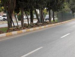 Adıyaman Atatürk Bulvarı'nda Düzenleme