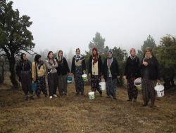 Yabani Meyveler, Köylü Kadınların Geçim Kaynağı Oldu