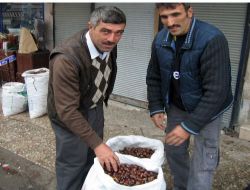 Alaplı'da Kestane Pazara İndi