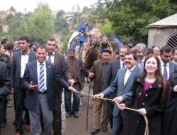 Uluslararası İpek Yolu Deve Kervanı Bitlis'ten Geçti