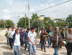 Yevmiyelerini Alamayan Tarla İşçileri Eylem Yaptı