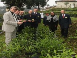 Bilim Adamı Durukan, Çay Ekstresiyle Hastalıklara Çare Arıyor