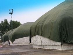 Özbekistan'ın Pamuk Hasadı 3 Milyon 400 Bin Ton Oldu