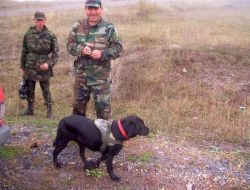 Ayının Kaçırdığı İddia Edilen Vatandaşı, Jandarma 'halat'la Arıyor