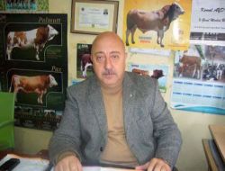 Kurbanlıklar Bu Hafta Görücüye Çıkacak!