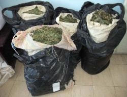 Batı İllerine Uyuşturucu Gönderen 19 Kişi Yakalandı!