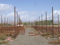 Yeni Hayvan Pazarı 2008'den Beri Bitirilmeyi Bekliyor