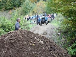 Sakarya'da Fındık Ağacı Sökümü Gerginliği