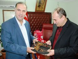 Bolu'dan Bitlis'e Kardeşlik Köprüsü