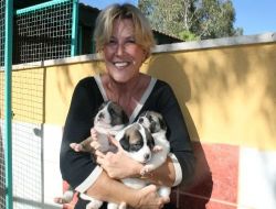 Tatilciler Hayvanlarını Yanlarına Almayınca Kışın Sokaklardaki Cins Köpek Sayısı Artıyor